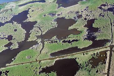 Camargue, France © Etienne Pierart